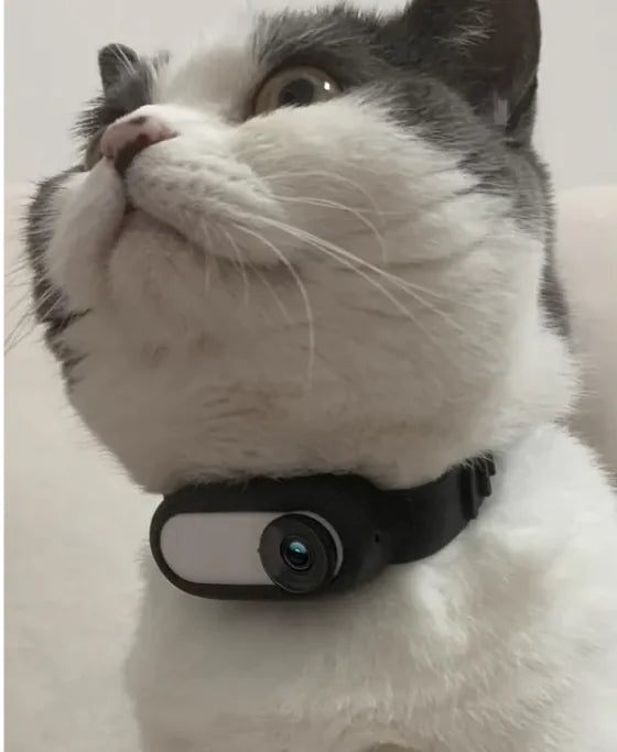 Cat Camera Collar: 170° Wide Angle Dog Collar Camera with 0.96 Inch LCD Screen, Multifunctional Pet and Cat Tracker