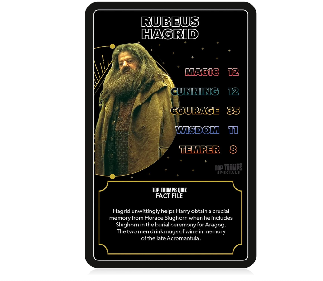 Harry Potter Hogwarts Duel Card Game