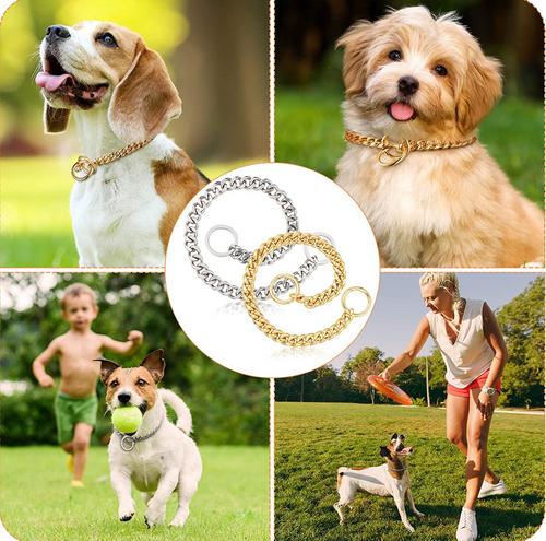 Stainless Steel Double Ring Drag Chain for Pets