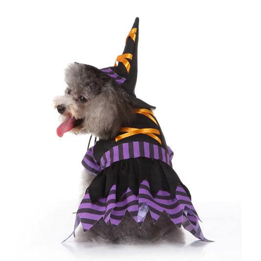 Funny Halloween Witch Costume for Pets