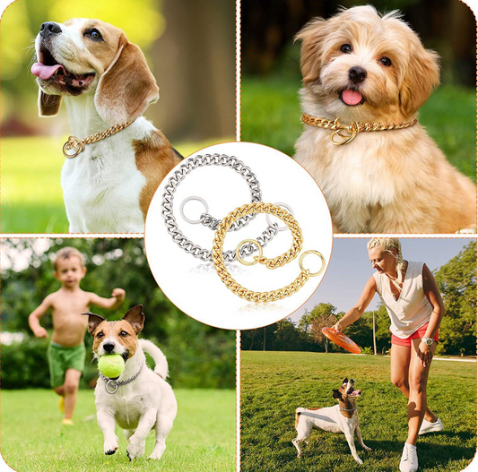 Stainless Steel Double Ring Drag Chain for Pets