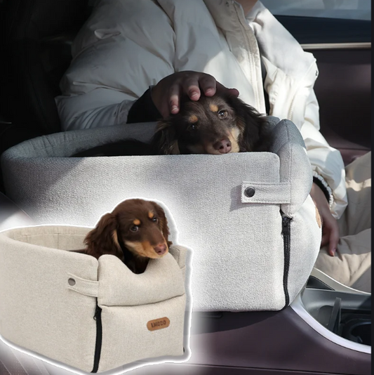 Dog in a car seat carrier with a person holding it, inside a vehicle.