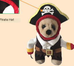 Halloween Dog Costumes - Pirate Outfit for Pets