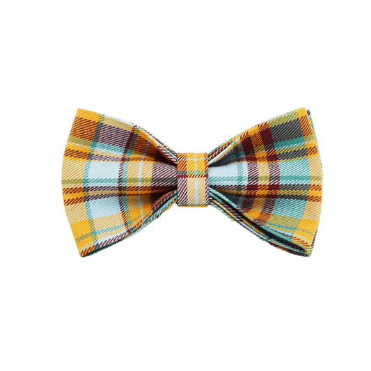 Velvet Fabric Dog Collar for Pets